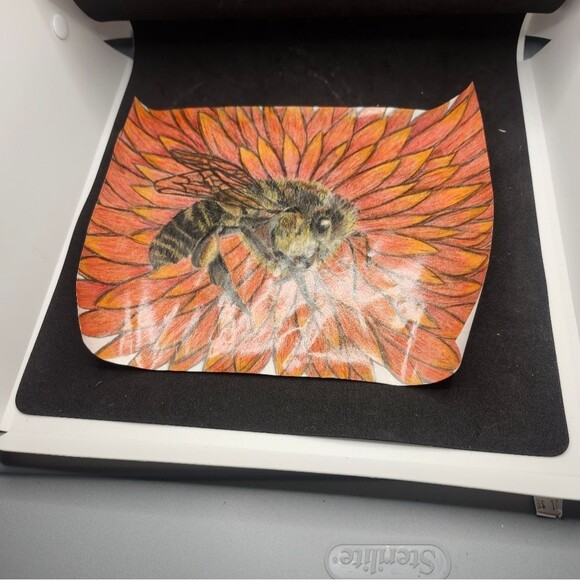 Handmade Framed Pencil Art Honey Bee Red Flower Original Colored Drawing - Picture 12 of 14